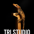 트라이스튜디오