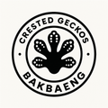 Bakbaeng