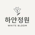 하얀정원