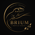 BRIUM