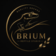 BRIUM