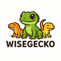 와이즈게코