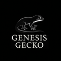 GenesisGecko