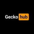 게코허브